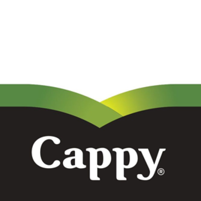 Натурален сок "Cappy" – 250 мл.